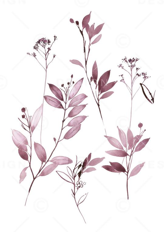 高清花卉印花华亿平台图片