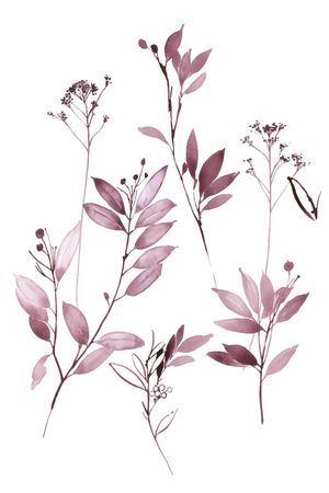 高清花卉印花华亿平台图片