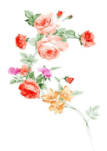 高清花卉印花华亿平台图片