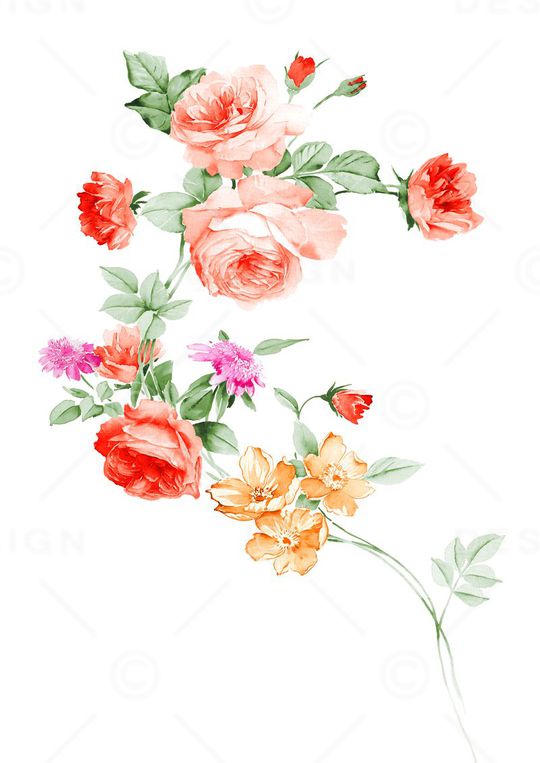 高清花卉印花华亿平台图片