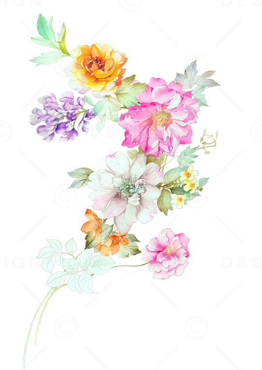 高清花卉印花华亿平台图片