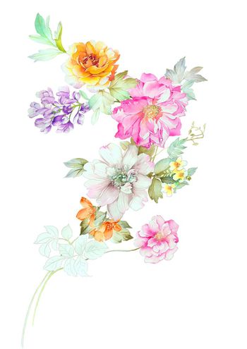 高清花卉印花华亿平台图片