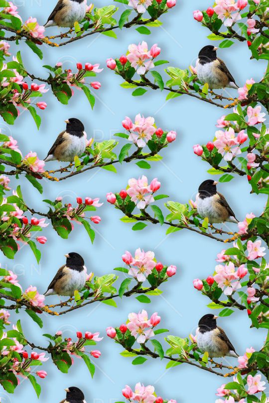 流行时尚印花华亿平台图片