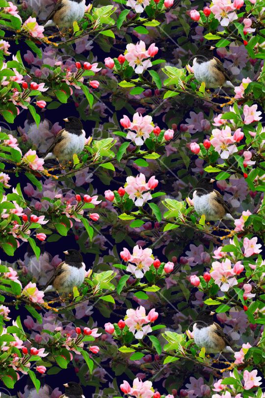 流行时尚印花华亿平台图片