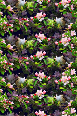 流行时尚印花华亿平台图片