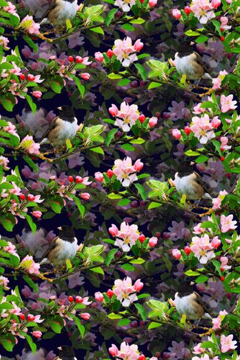 586563-写实树枝小鸟