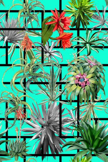 586565-几何热带植物花卉叶子