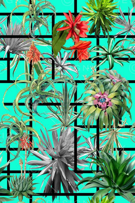 叶子印花华亿平台图片