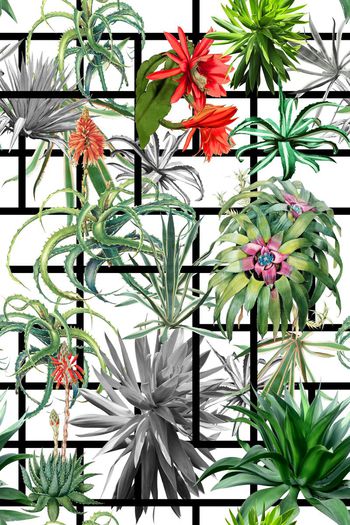 586566-几何热带植物花卉叶子