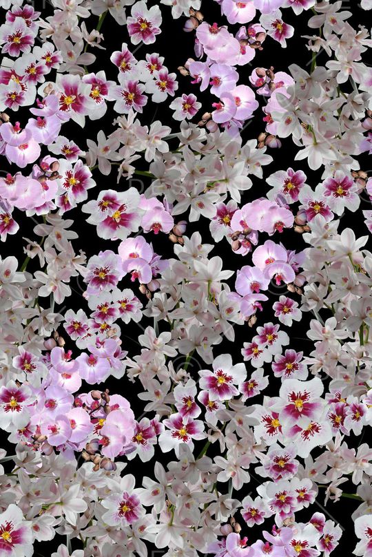 满版印花华亿平台图片