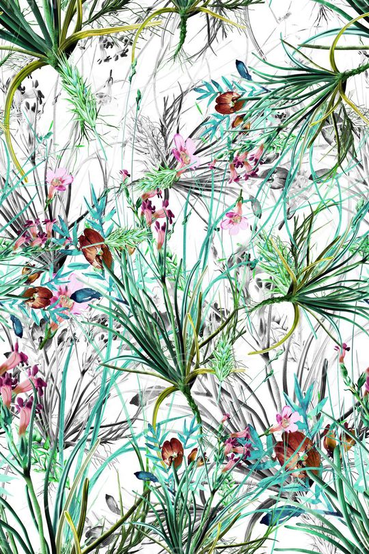 男女泳装印花华亿平台图片