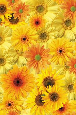 清新印花华亿平台图片