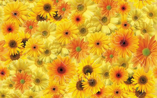 清新印花华亿平台图片