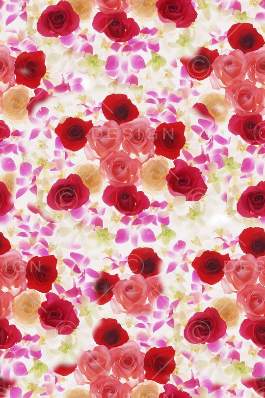 浪漫 美好印花华亿平台图片