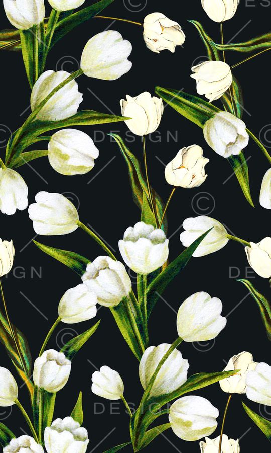 手绘 时装周 白色 郁金香 T台 杜嘉班纳 D&G印花华亿平台图片