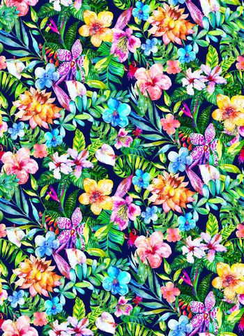 587058-热带花卉植物