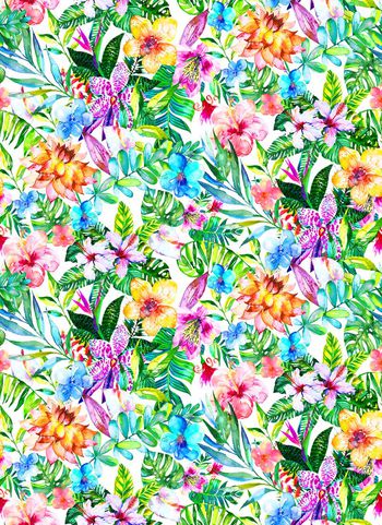 587059-热带花卉植物