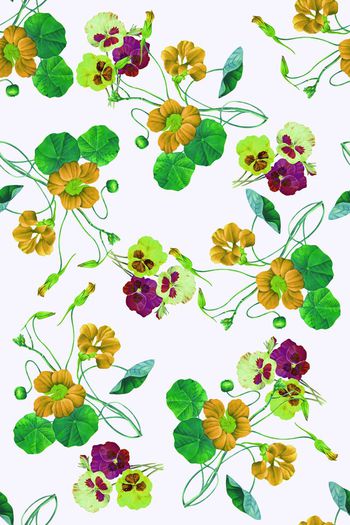 587113-水彩花卉组合