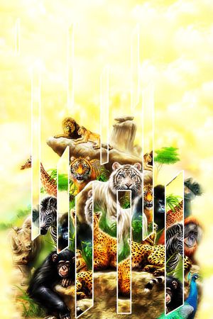 非洲印花华亿平台图片