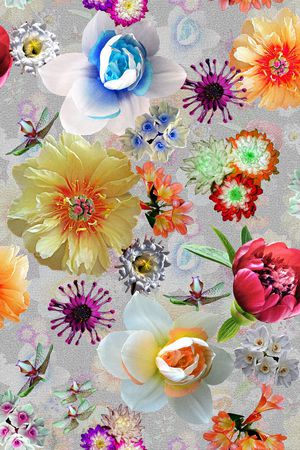 潮流时尚大牌印花华亿平台图片