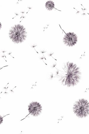 青春印花华亿平台图片