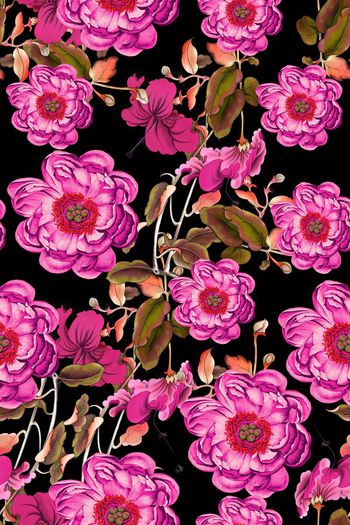 587882-花卉花朵牡丹花花苞