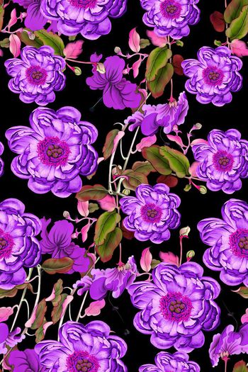 587886-花卉花朵牡丹花花苞