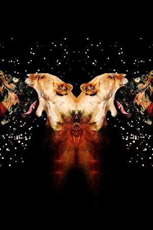 动物男装图案印花华亿平台图片