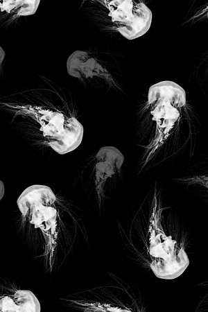 抽象男装图案印花华亿平台图片