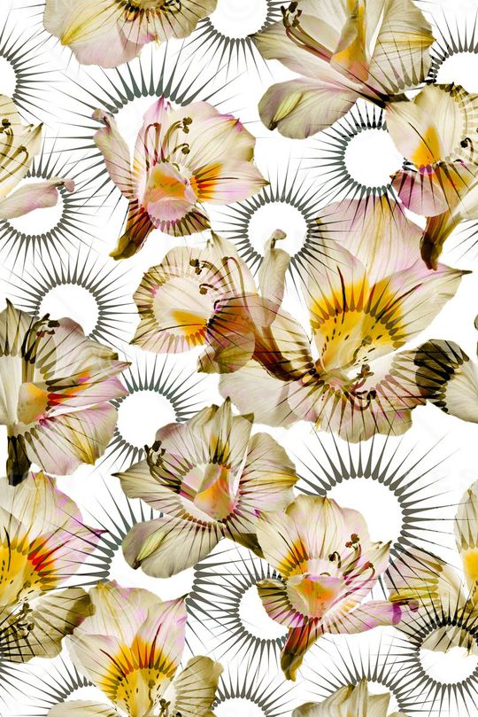 零点--抽象印花华亿平台图片