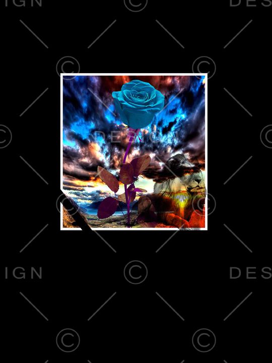 欧美大牌风格印花华亿平台图片