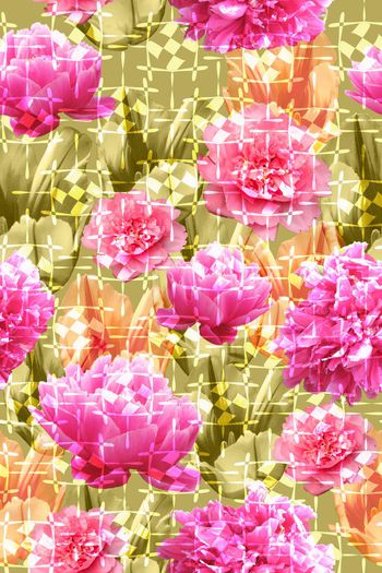 588016-花开富贵 牡丹花