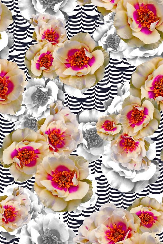 条纹印花华亿平台图片