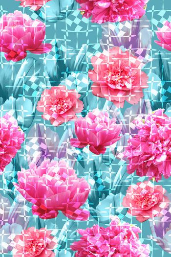 588055-花开富贵 牡丹花