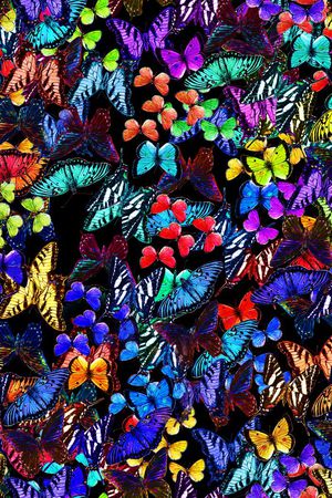 时尚印花华亿平台图片