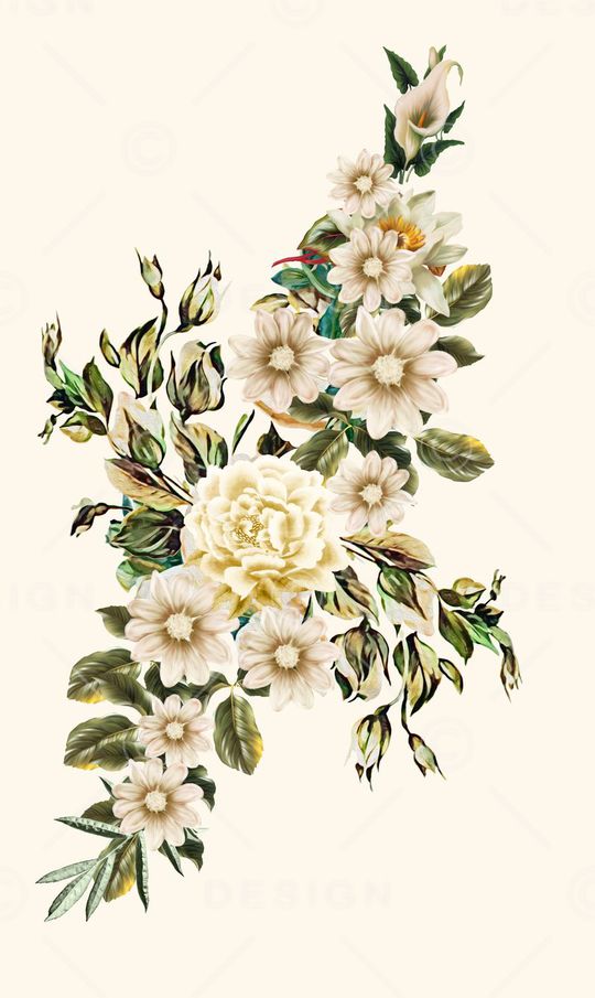 杜嘉班纳印花华亿平台图片