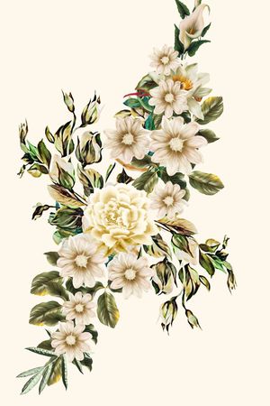 杜嘉班纳印花华亿平台图片