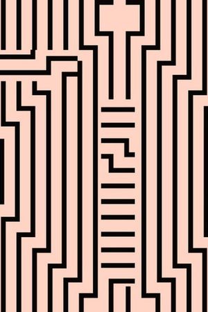 女装T恤 华亿平台 印花 抽象 几何 动物 数码印花 花纹 墙纸 几何图形 图案 T恤 女装 抽象 酷 时尚 潮流 单色 马 斑马 野兽 老虎 豹子 蝴蝶 昆虫印花华亿平台图片