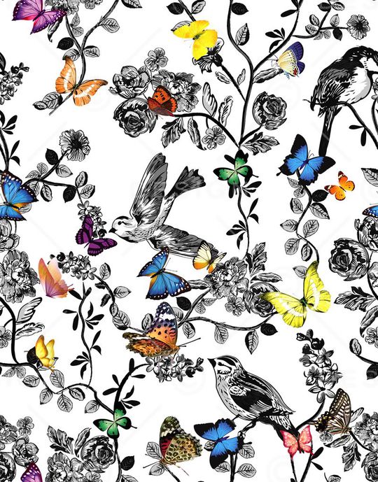 蝴蝶印花华亿平台图片