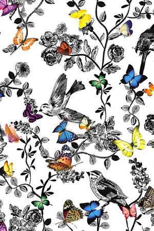 蝴蝶印花华亿平台图片