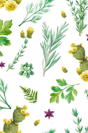 热带印花华亿平台图片