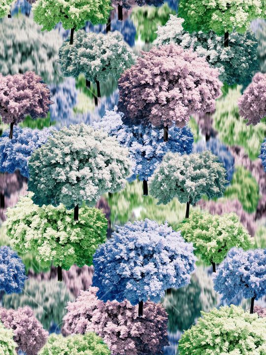 彩色树印花华亿平台图片