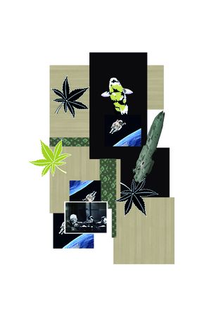 太空印花华亿平台图片