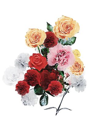 独朵印花华亿平台图片