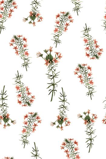 田园印花华亿平台图片