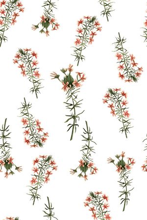 田园印花华亿平台图片