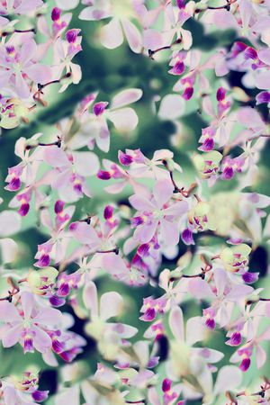 时尚大牌欧美风格印花华亿平台图片