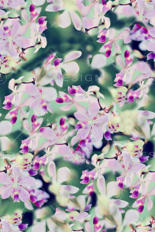 时尚大牌欧美风格印花华亿平台图片