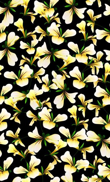 欧美印花华亿平台图片