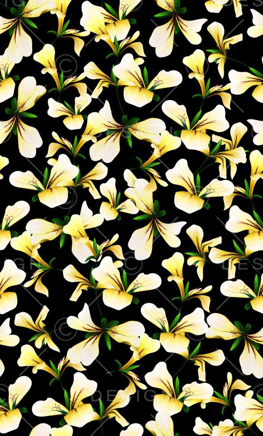 欧美印花华亿平台图片